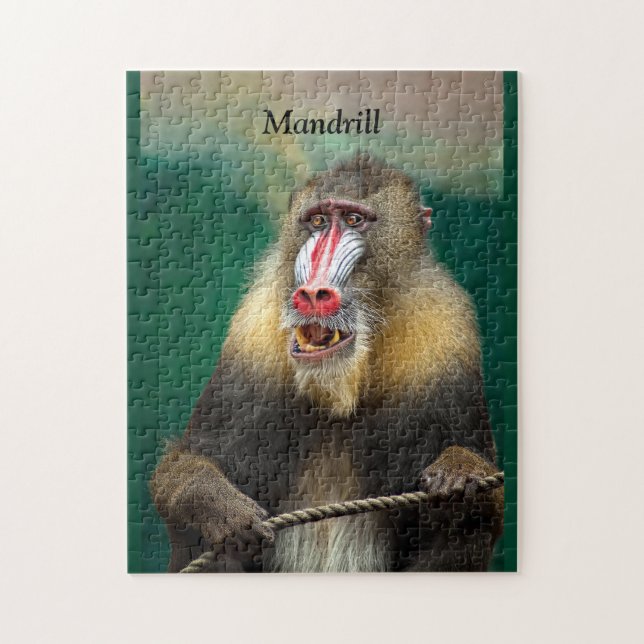 Puzzle Mandrill, Ape africaine (Vertical)