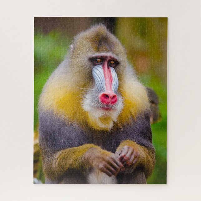 Puzzle Mandrill Singes. (Vertical)