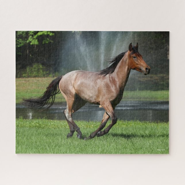 Puzzle Mangalarga Courir devant la Fontaine (Horizontal)