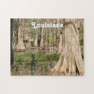 Puzzle Marais de la Louisiane