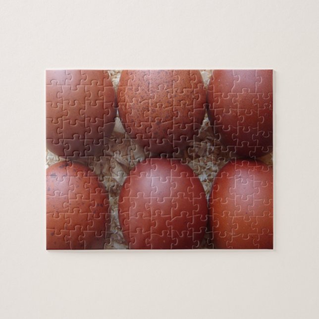Puzzle - Marans Chicken Eggs (Horizontal)