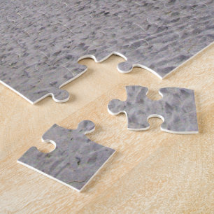 Puzzle Marcher le long de la plage de Siesta Keys