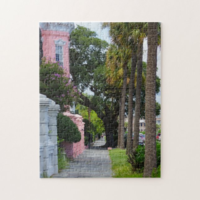 Puzzle Marcher le long de Rainbow Row (Vertical)