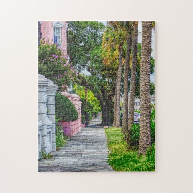 Puzzle Marcher le long de Rainbow Row (Vertical)