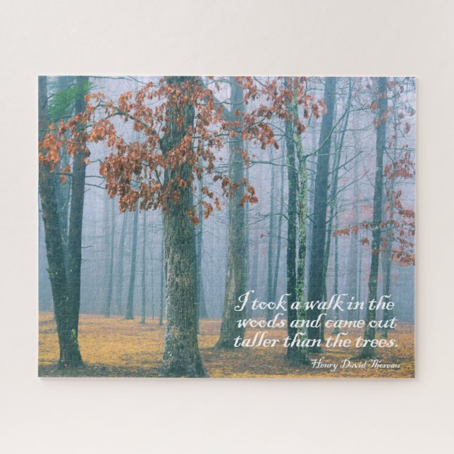 Puzzle Marchez dans les Bois - 16x20 - 520 pcs. (Horizontal)