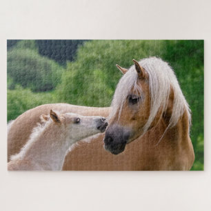 Puzzle Mare de Haflinger et boudin