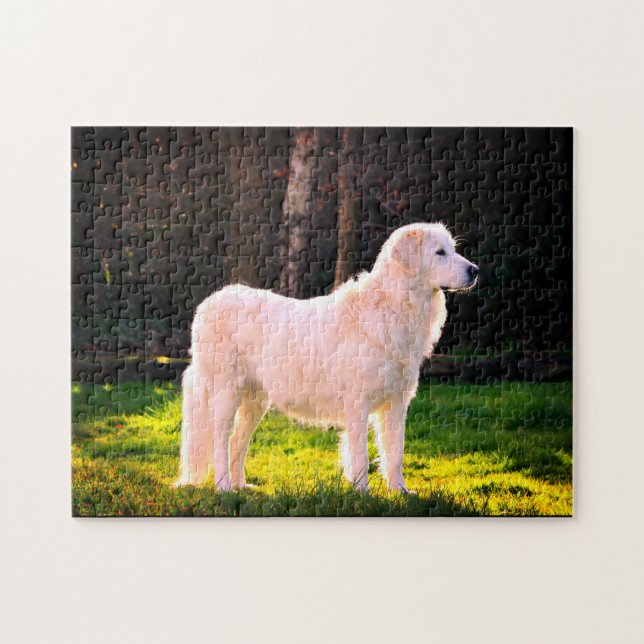 Puzzle Maremma Sheepdog Beauté (Horizontal)