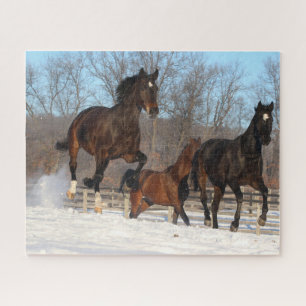 Puzzle Mares d'Oldenburg et de Hanoverian en neige