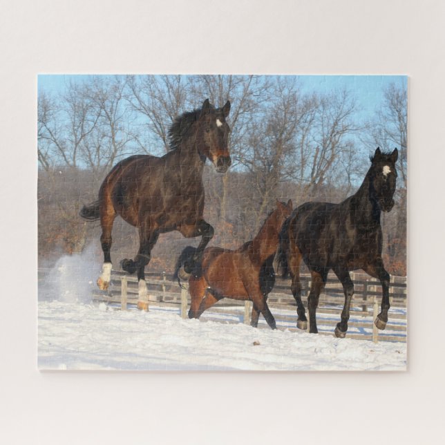 Puzzle Mares d'Oldenburg et de Hanoverian en neige (Horizontal)