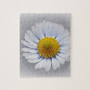 Puzzle marguerite blanche brillante