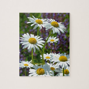 Puzzle Marguerites blanches de ressort en fleur