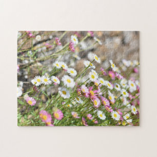 Puzzle Marguerites blanches roses miniatures Nature Fleur