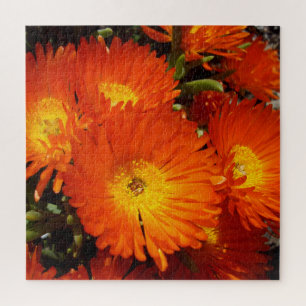 Puzzle Marguerites géantes,