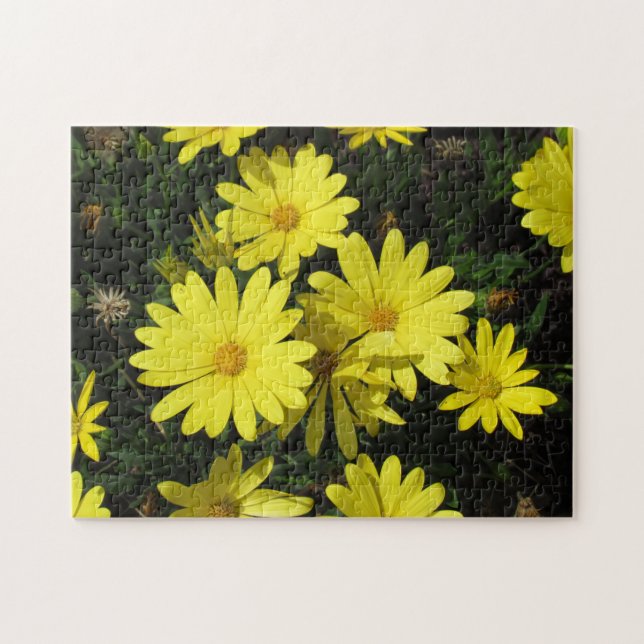 Puzzle - Marguerites jaunes (Horizontal)