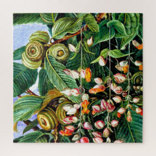 Puzzle Marianne North : Un chêne Darjeeling,