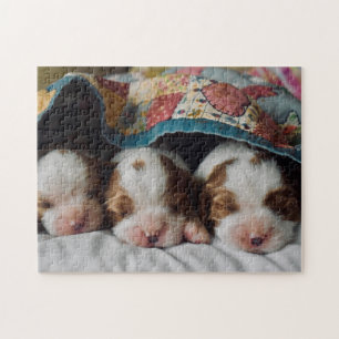 Puzzle Marionnettes de Blenheim Cavalier