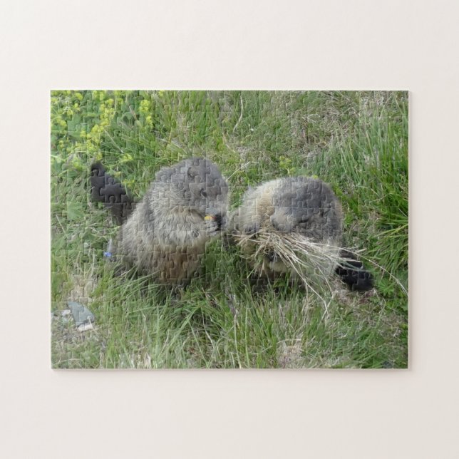 Puzzle Marmot (Horizontal)