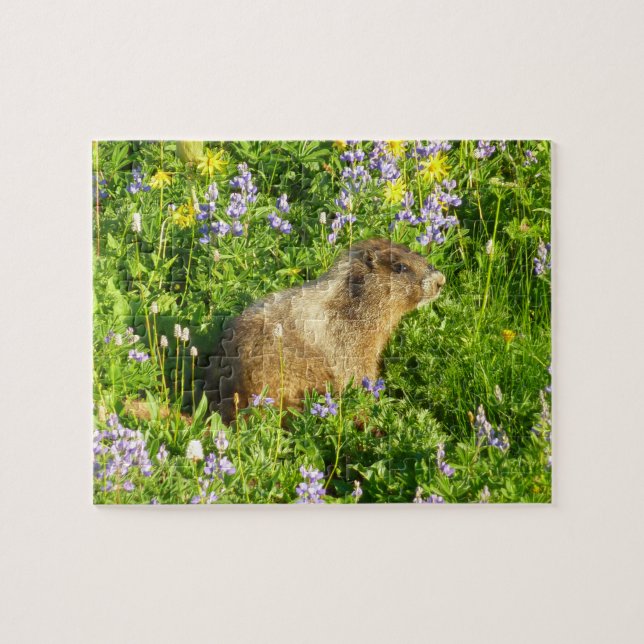 Puzzle Marmot dans le Mont Rainier Fleurs sauvages (Horizontal)