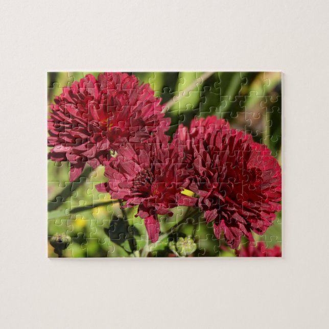Puzzle Maroon Chrysanthemums (Horizontal)