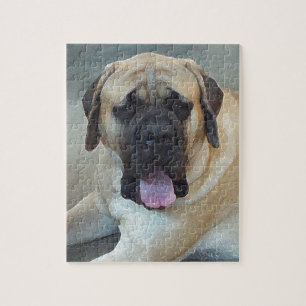 Puzzle Mastiff