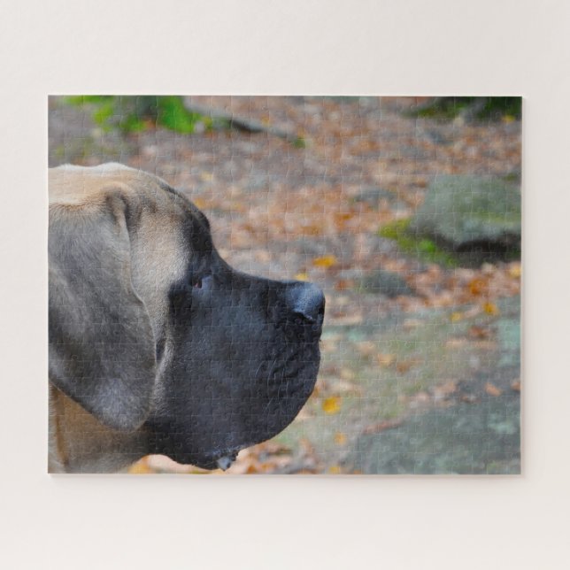 Puzzle Mastiff anglais. (Horizontal)