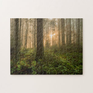 Puzzle Matin brumeux du nord-ouest Pacifique de la forêt