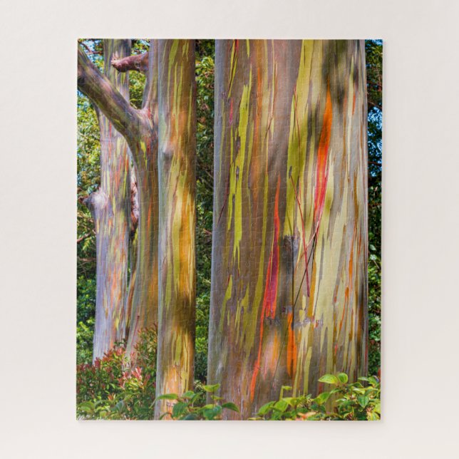 Puzzle Maui Eucalyptus (Vertical)