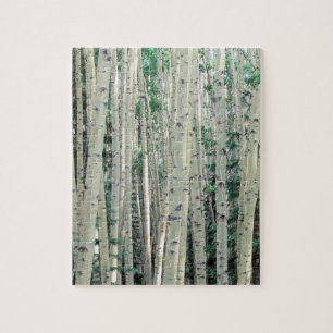 Puzzle Maze de forêt d'Aspen - 8x10 - 110 pièces
