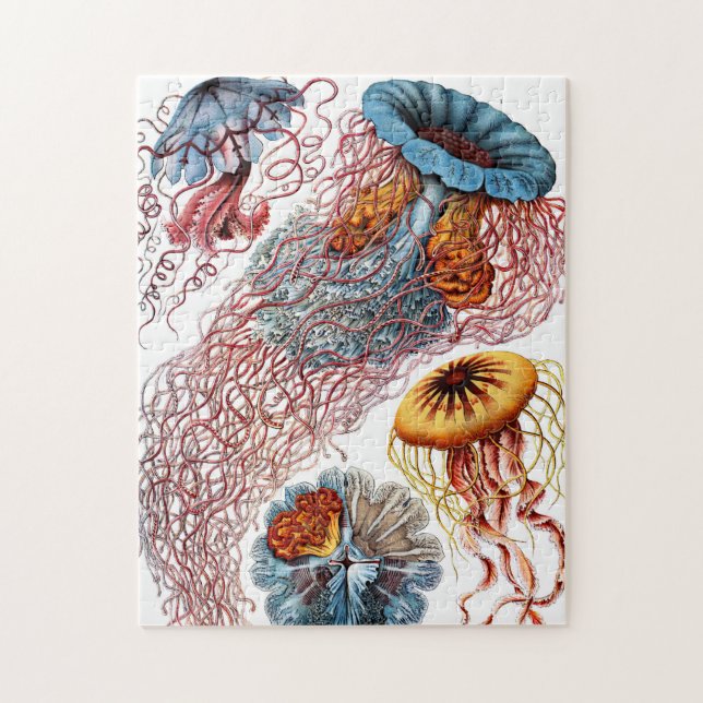 Puzzle Méduse (Scheibenquallen) par Ernst Haeckel (Vertical)