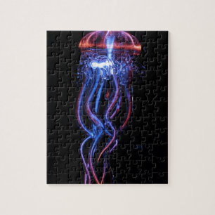 Puzzle Méduses fraîches Phenomeno léger lumineux
