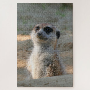 Puzzle Meerkat 004