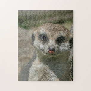 Puzzle Meerkat 005