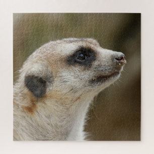 Puzzle Meerkat 028