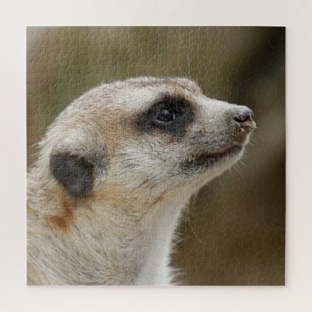 Puzzle Meerkat 028 (Vertical)