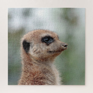 Puzzle Meerkat 180