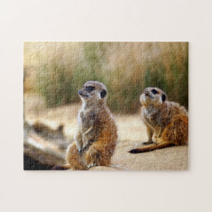 Puzzle Meerkats.