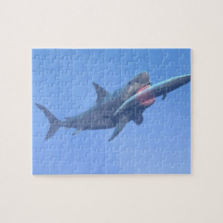 Puzzle Megalodon mangeant une baleine