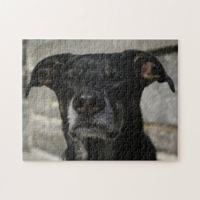 Puzzle Mélange Black Chien Lab Berger Mélange Race Dur Ma (Horizontal)