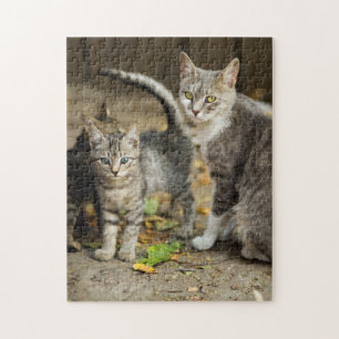 Puzzle Mère et bébé Animal Chat Photographie Animal