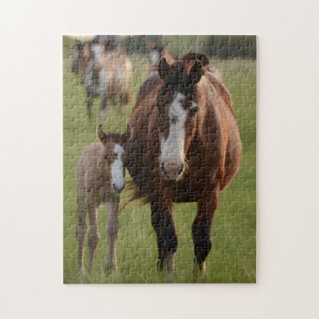 Puzzle Mère et bébé Animal Cheval Photographie Animal (Vertical)