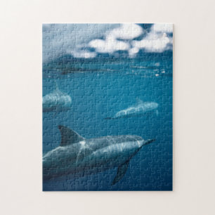 Puzzle Mère et bébé Animal Dolphin Photographie Animal