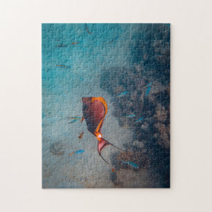 Puzzle Mère et bébé Animal Poisson Photographie Animal