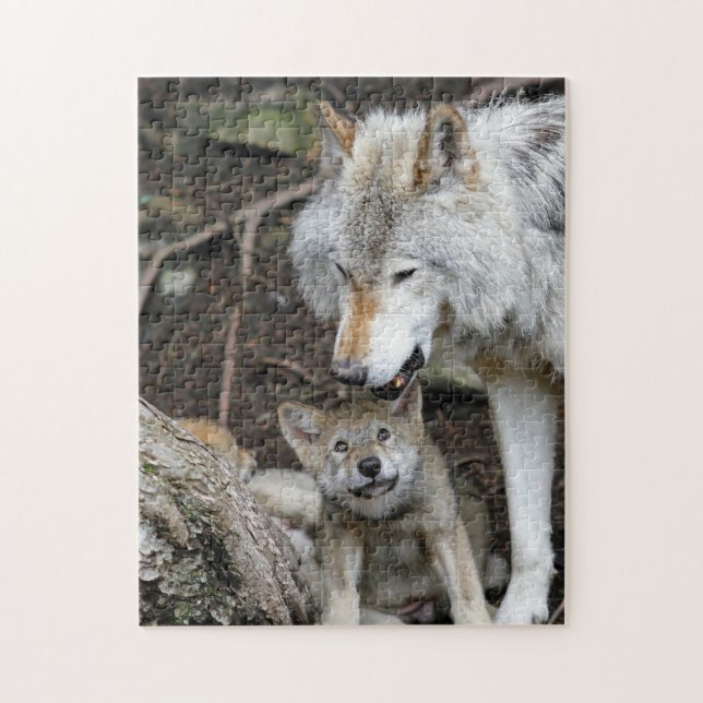 Puzzle Mère et bébé Animal Wolf Photographie Animal (Vertical)