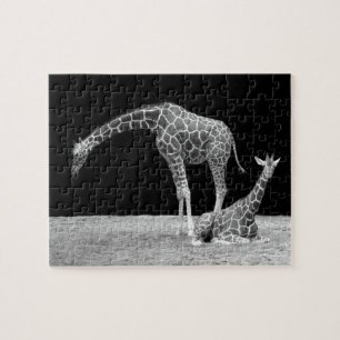Puzzle Mère et bébé girafes noir et blanc