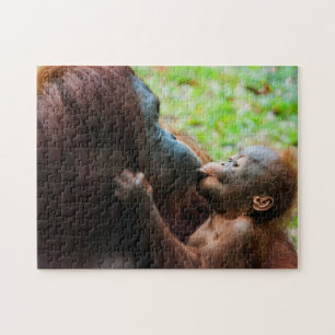 Puzzle Mère orang-outan et bébé