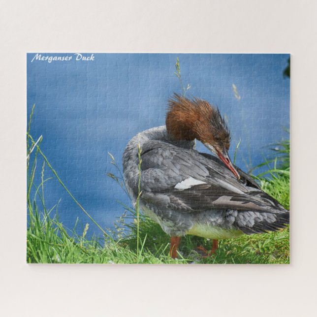 Puzzle Merganser Duck (Horizontal)