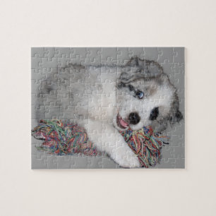 Puzzle merle de bleu de chiot de border collie