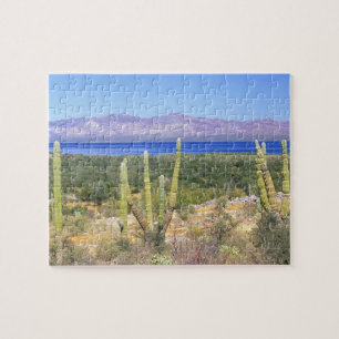Puzzle Mexique, Basse Californie du Sud, Cardon Cactus à