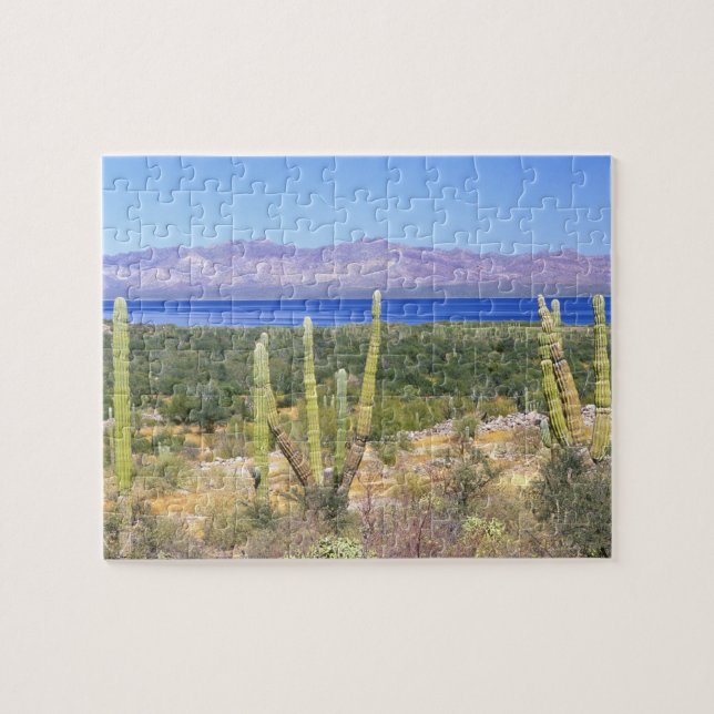 Puzzle Mexique, Basse Californie du Sud, Cardon Cactus à (Horizontal)