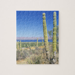Puzzle Mexique, Basse-Californie du Sud, Mulege, Bahia
